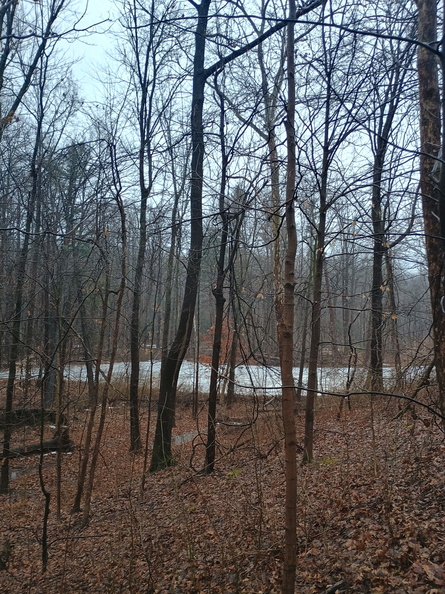 berea-falls-sledding-hill-2-0079 2025