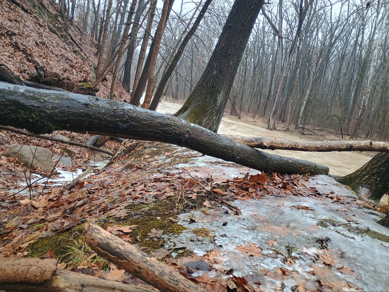 berea-falls-sledding-hill-2-0174 2025