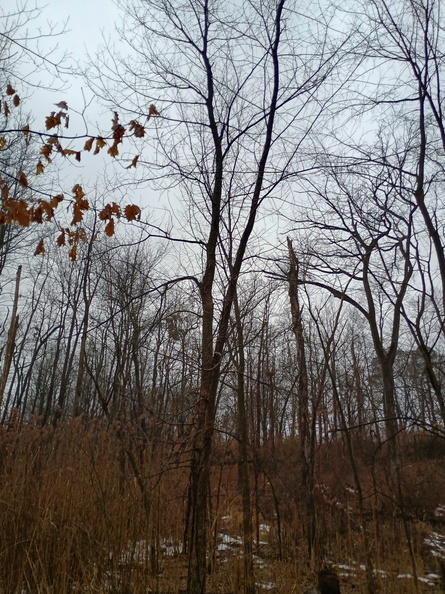 berea-falls-sledding-hill-2-0281 2025