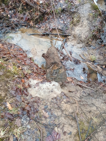 berea-falls-sledding-hill-2-0288 2025