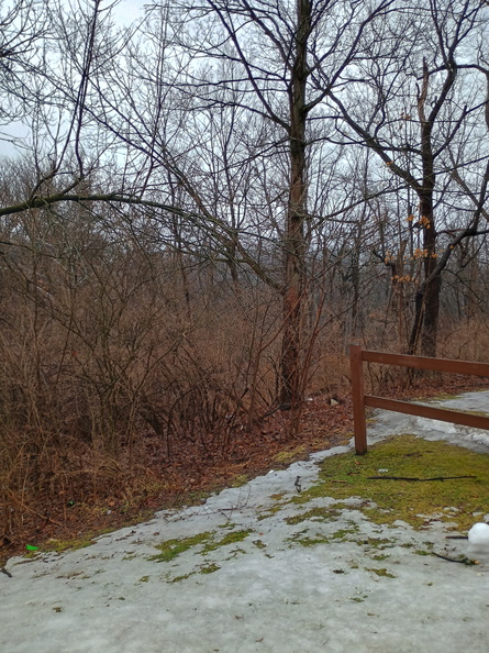 berea-falls-sledding-hill-2-0388 2025