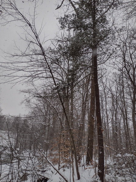 berea-falls-sledding-hill-2025-0098 2025