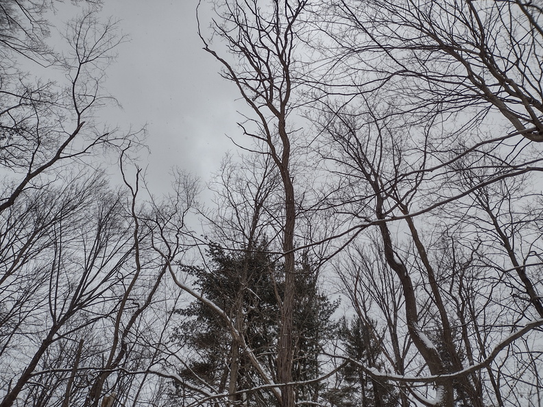 berea-falls-sledding-hill-2025-0197 2025